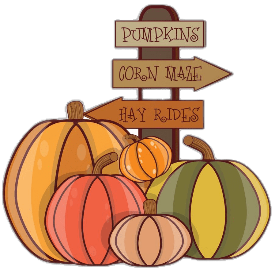 Cute pumpkin fall clipart autumn shop transparent