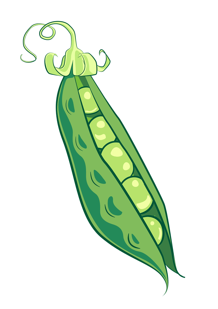 Veggie erbsen erbsenschote lebensmittel kostenloses bild auf pixabay clipart vector