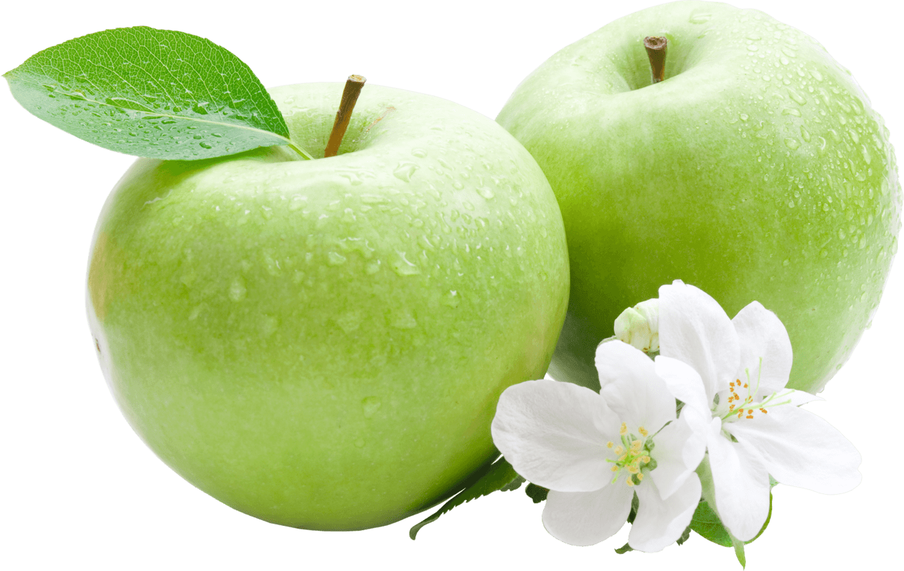 Apples apple green duo flowers stic clipart logo