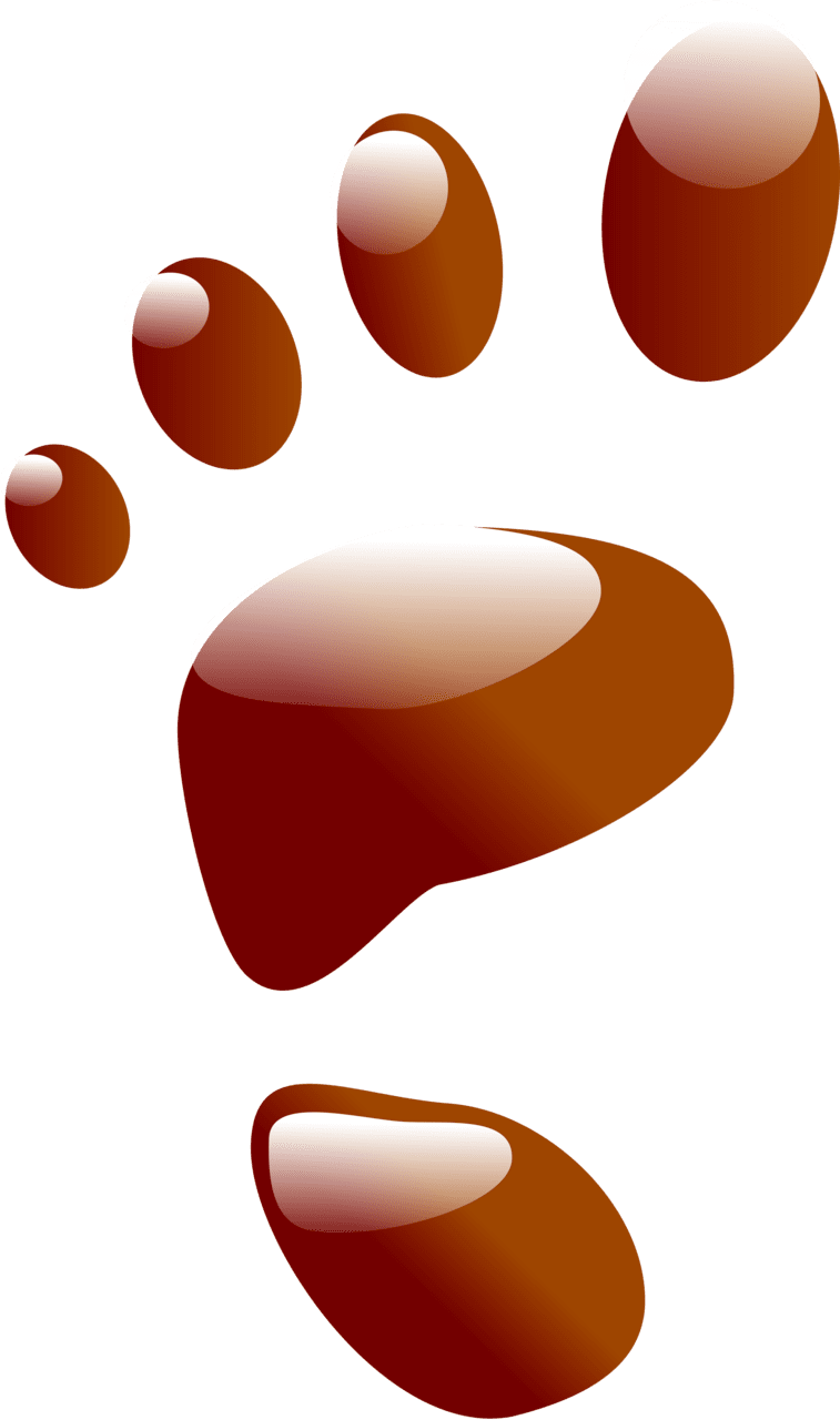 Footprint vector clipart images 4