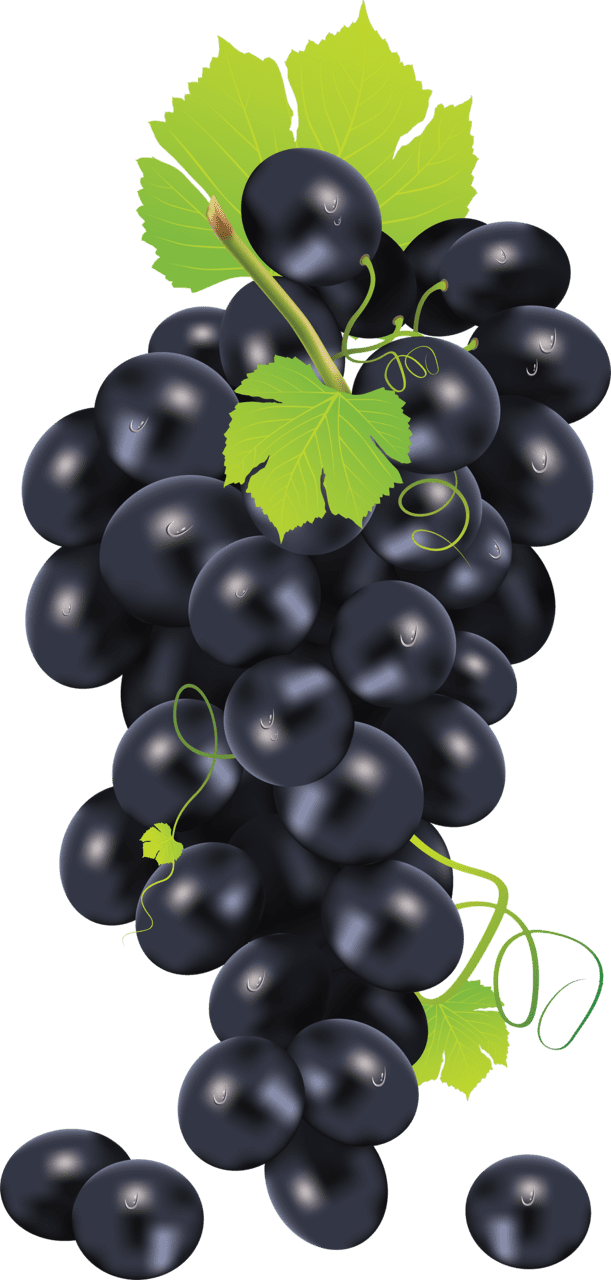 Grape clipart background