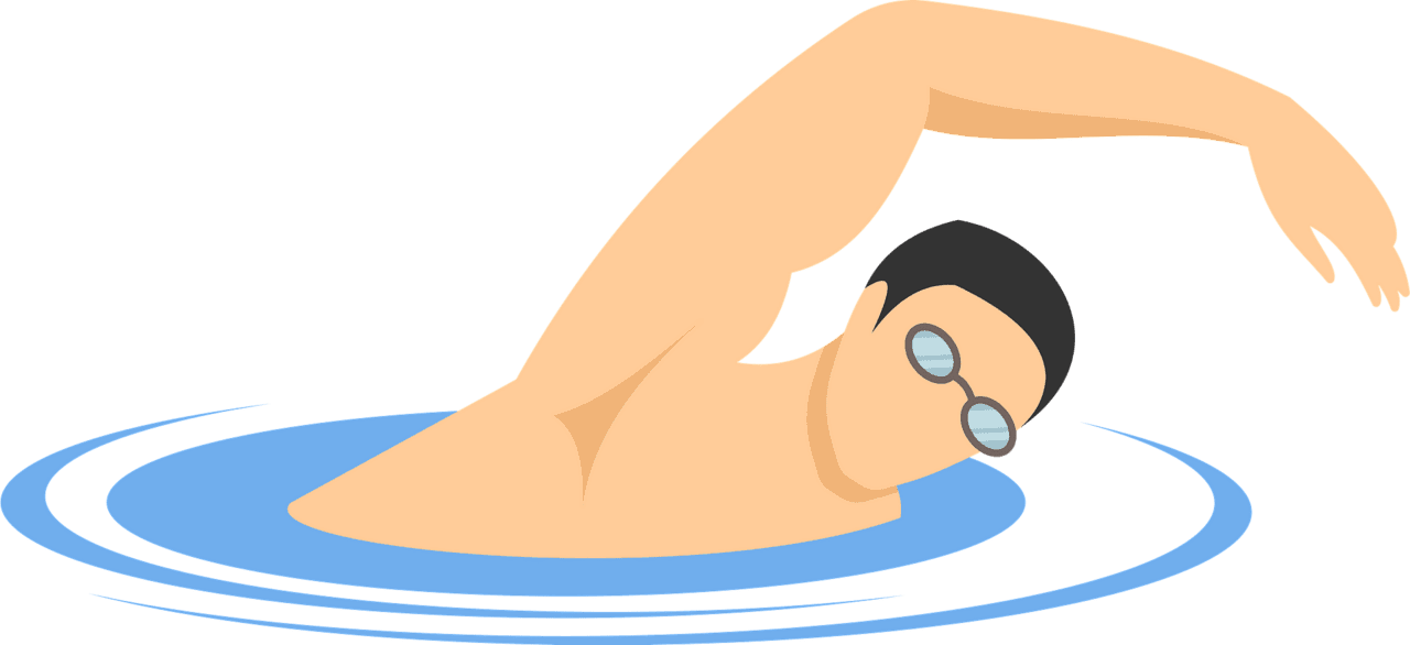 Swim mer vector clipart images