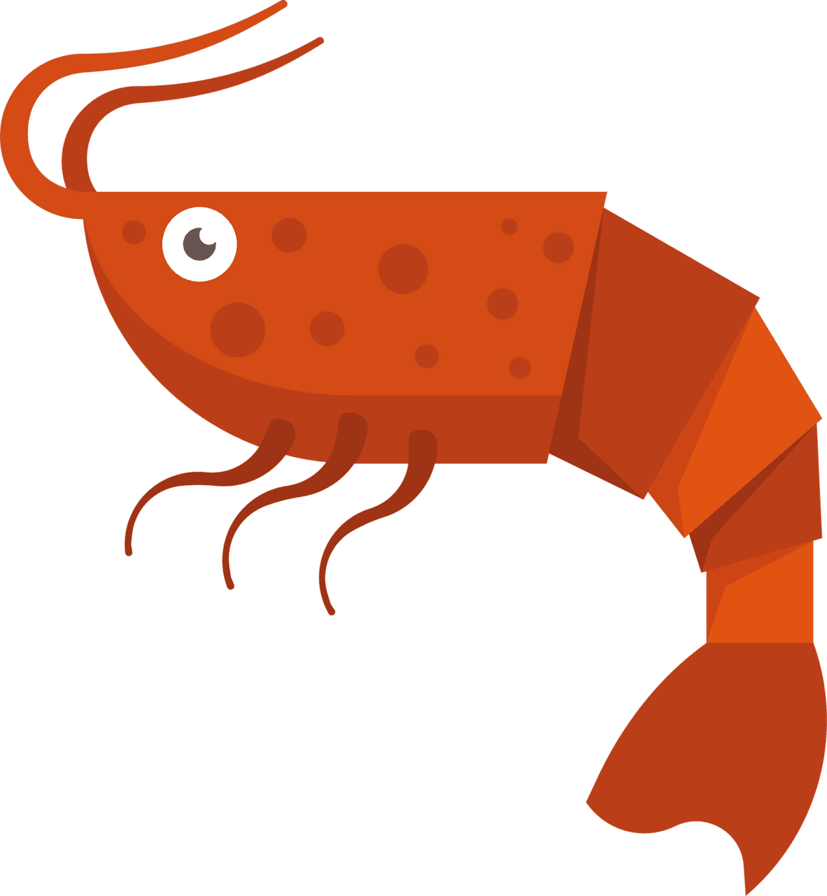 Shrimp vector clipart images 10