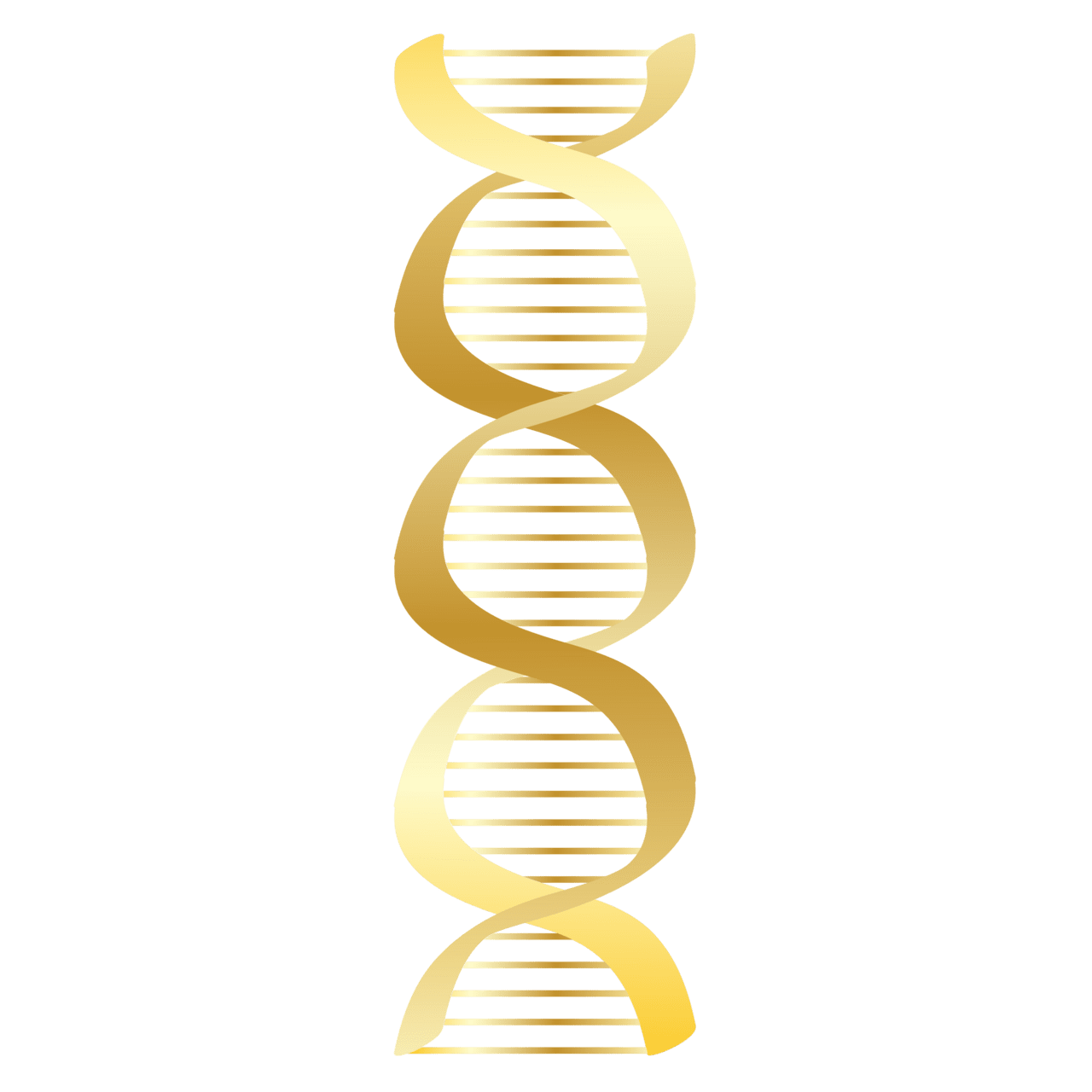 Dna clipart picture