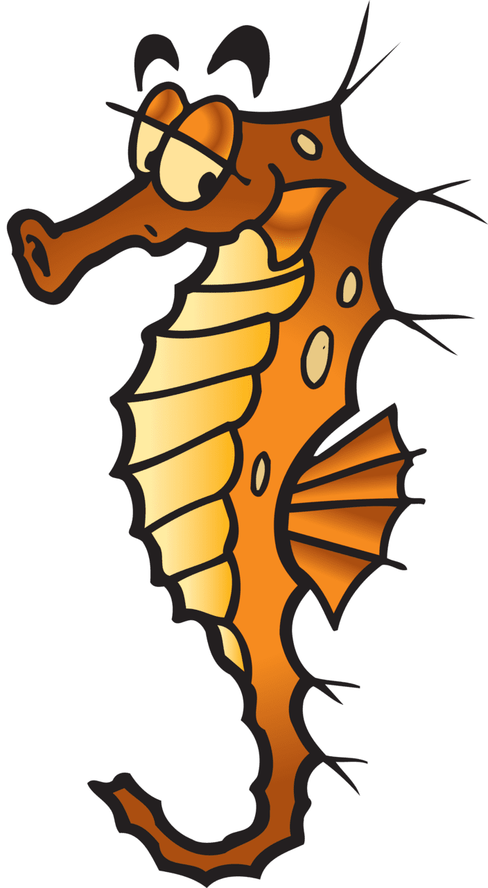 Seahorse image size clipart 5