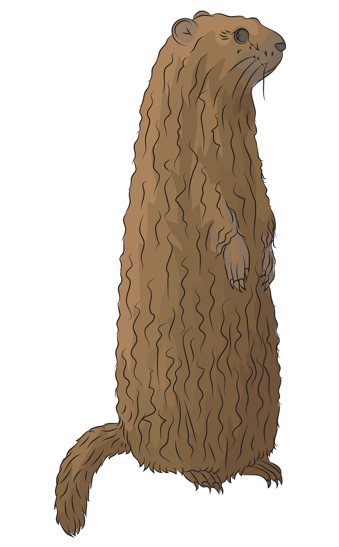 Groundhog day 2024 vector clipart images 5