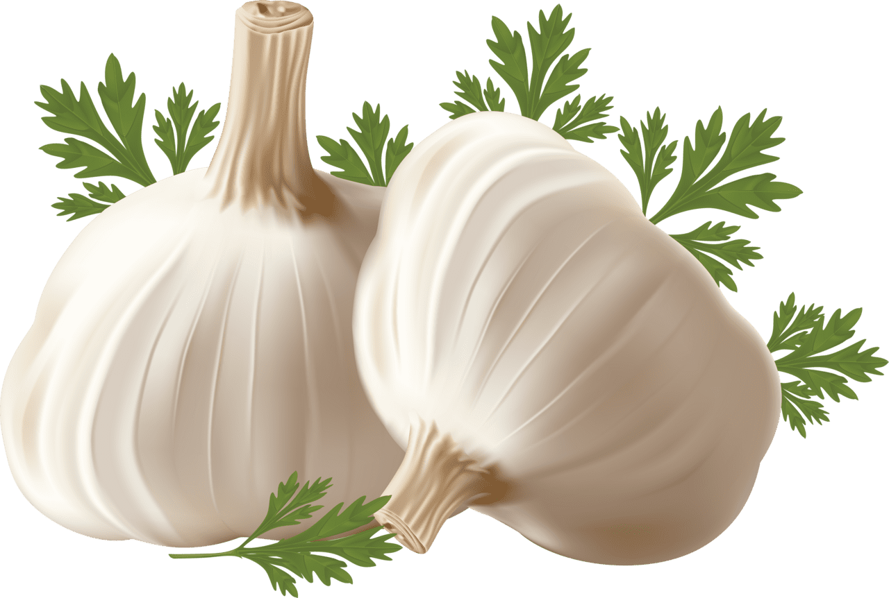 Veggie garlic clipart background