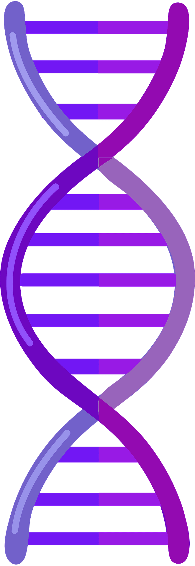 Dna vector clipart images 2