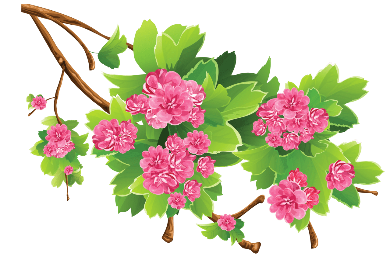 Bouquet spring branch clipart picture