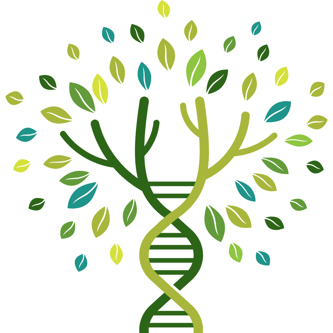 Dna four types of temperaments and their influence human being mental inc clipart transparent