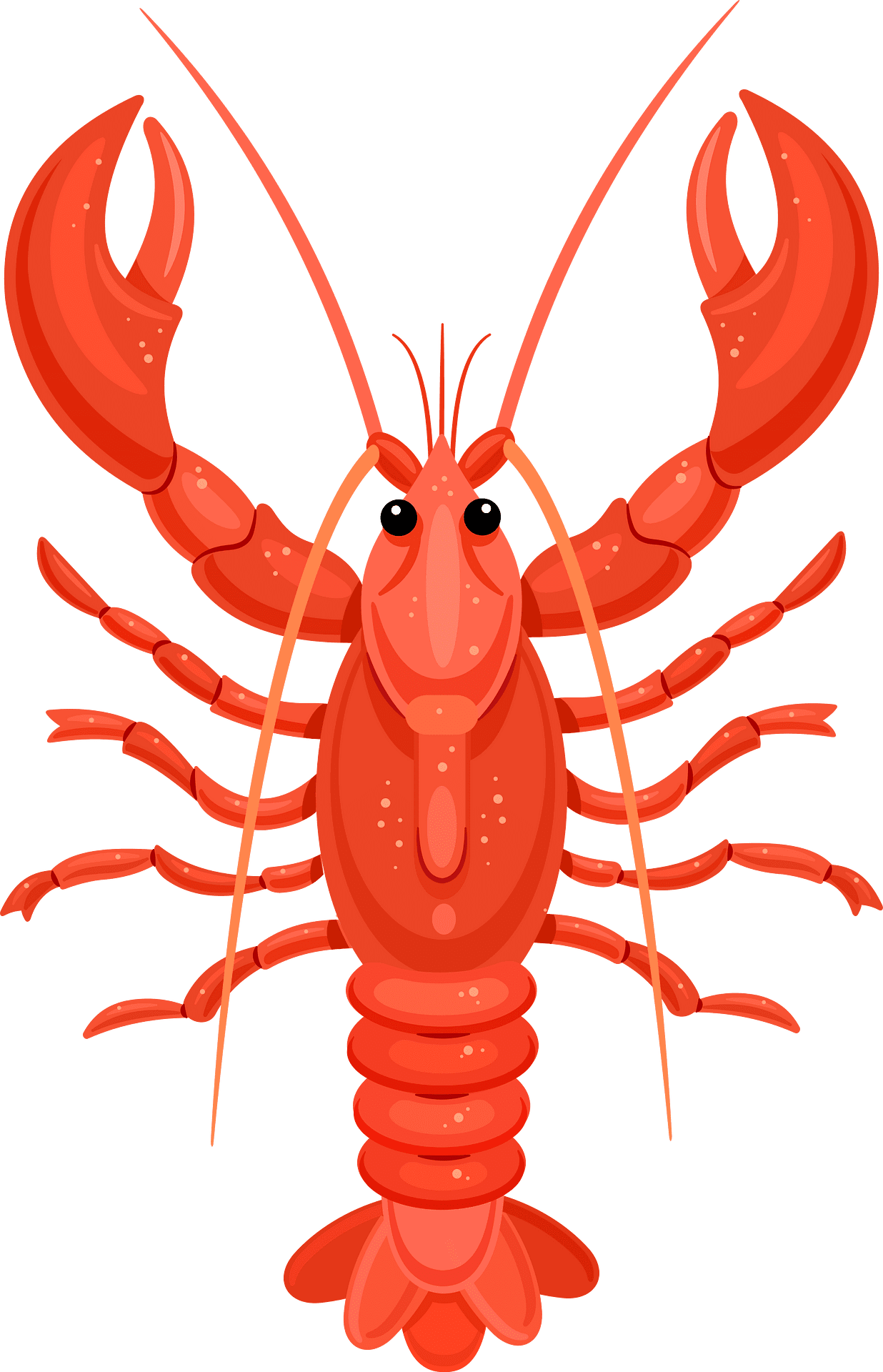 Crawfish vector clipart images 5