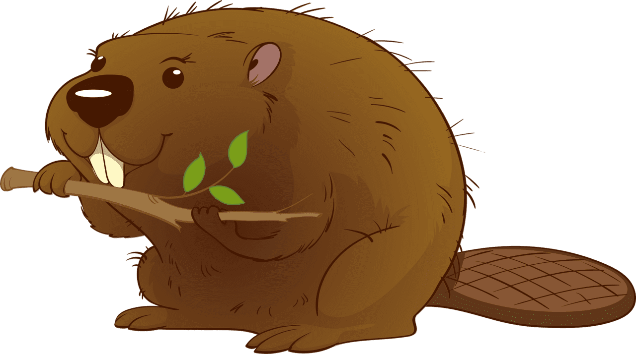 Beaver vector clipart images