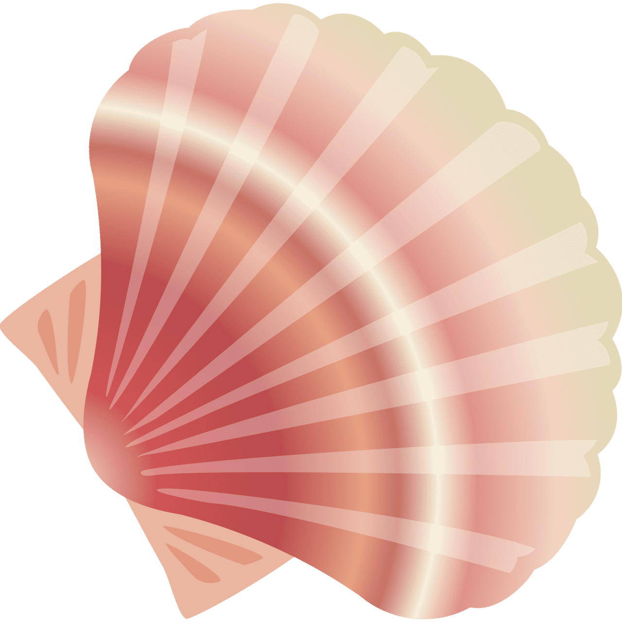 Marine shell vector clipart images