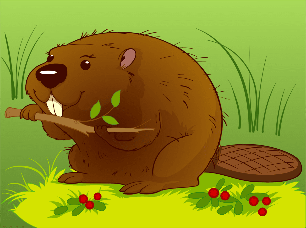 Beaver digitally made clipart free