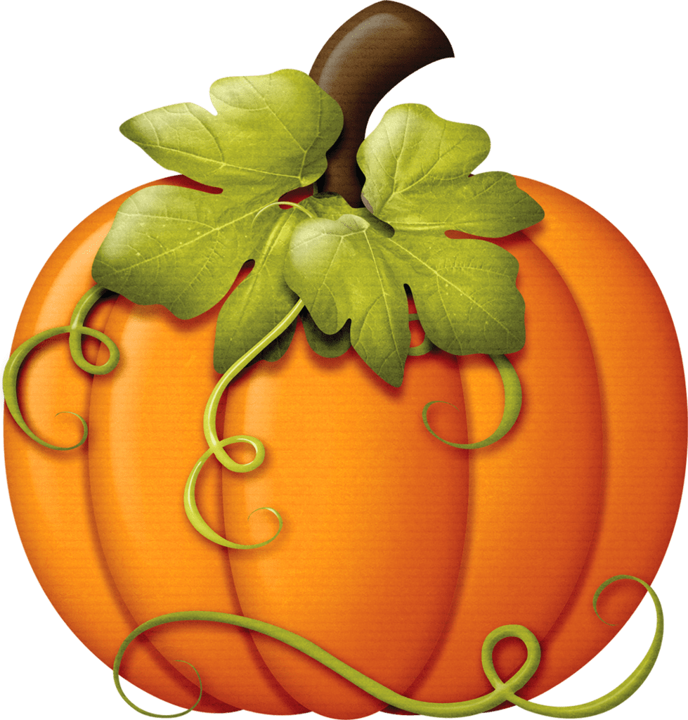 Cute pumpkin autumn colors clipart image