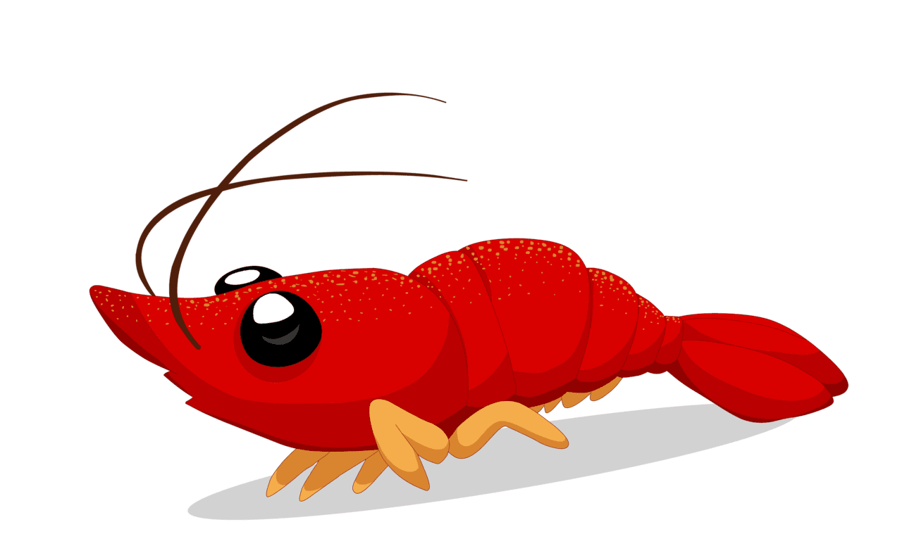 Crawfish vector crustacean crawdad freshwater seafood clipart