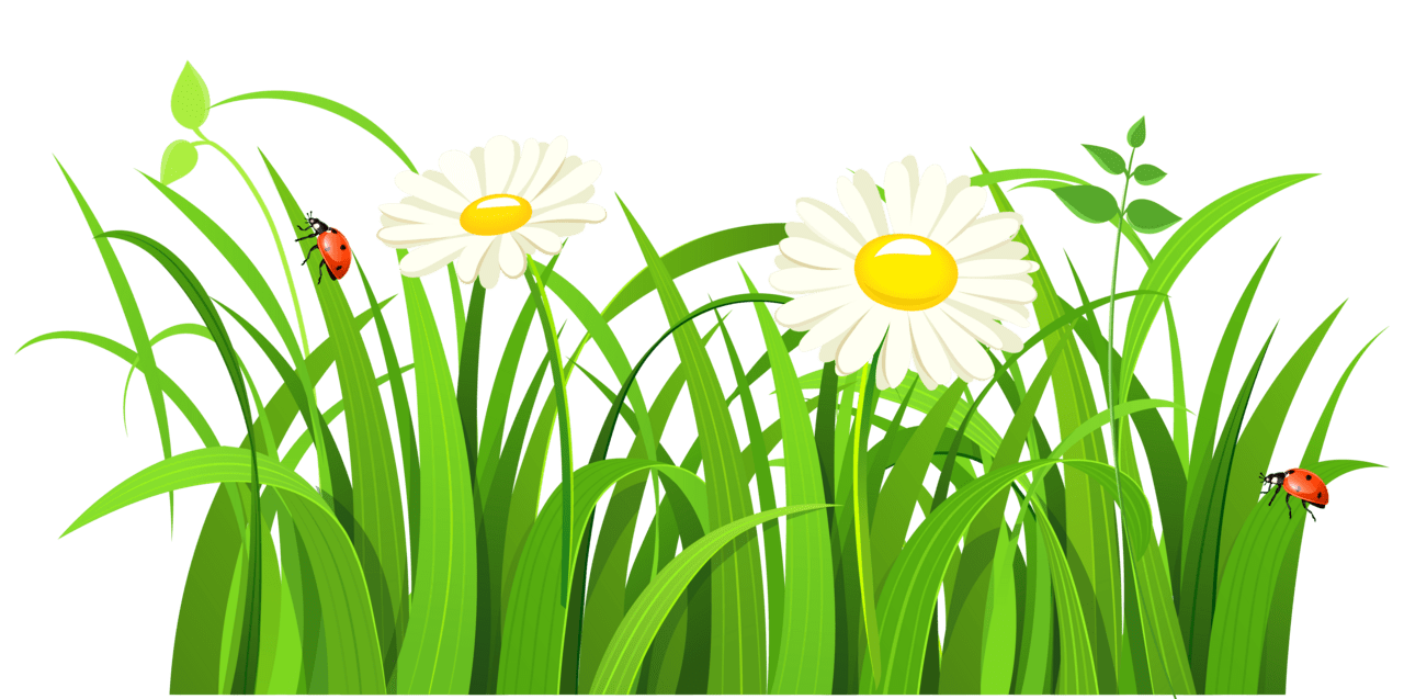 Springtime green grass vector clipart