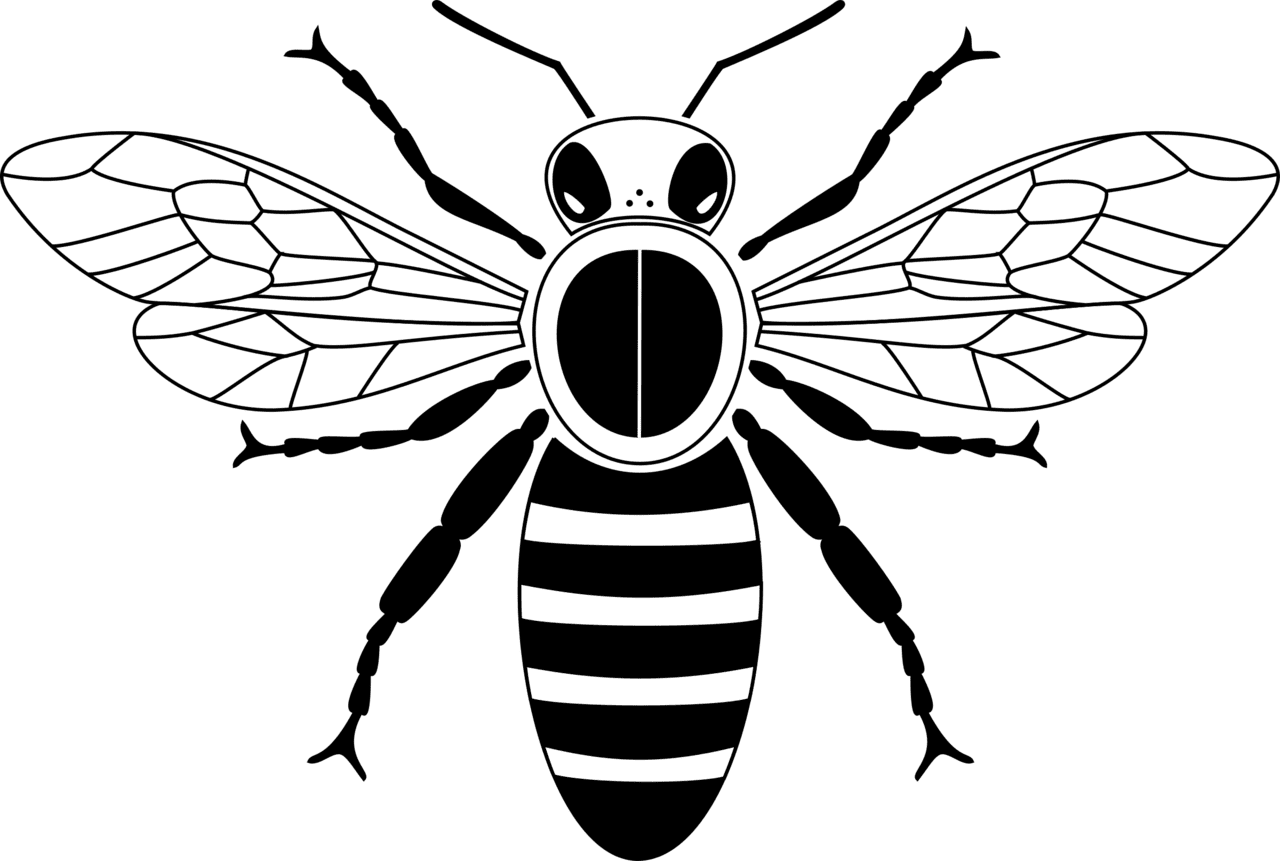 Bee black and white graphic abc clipart club image honey drawing simple with no background