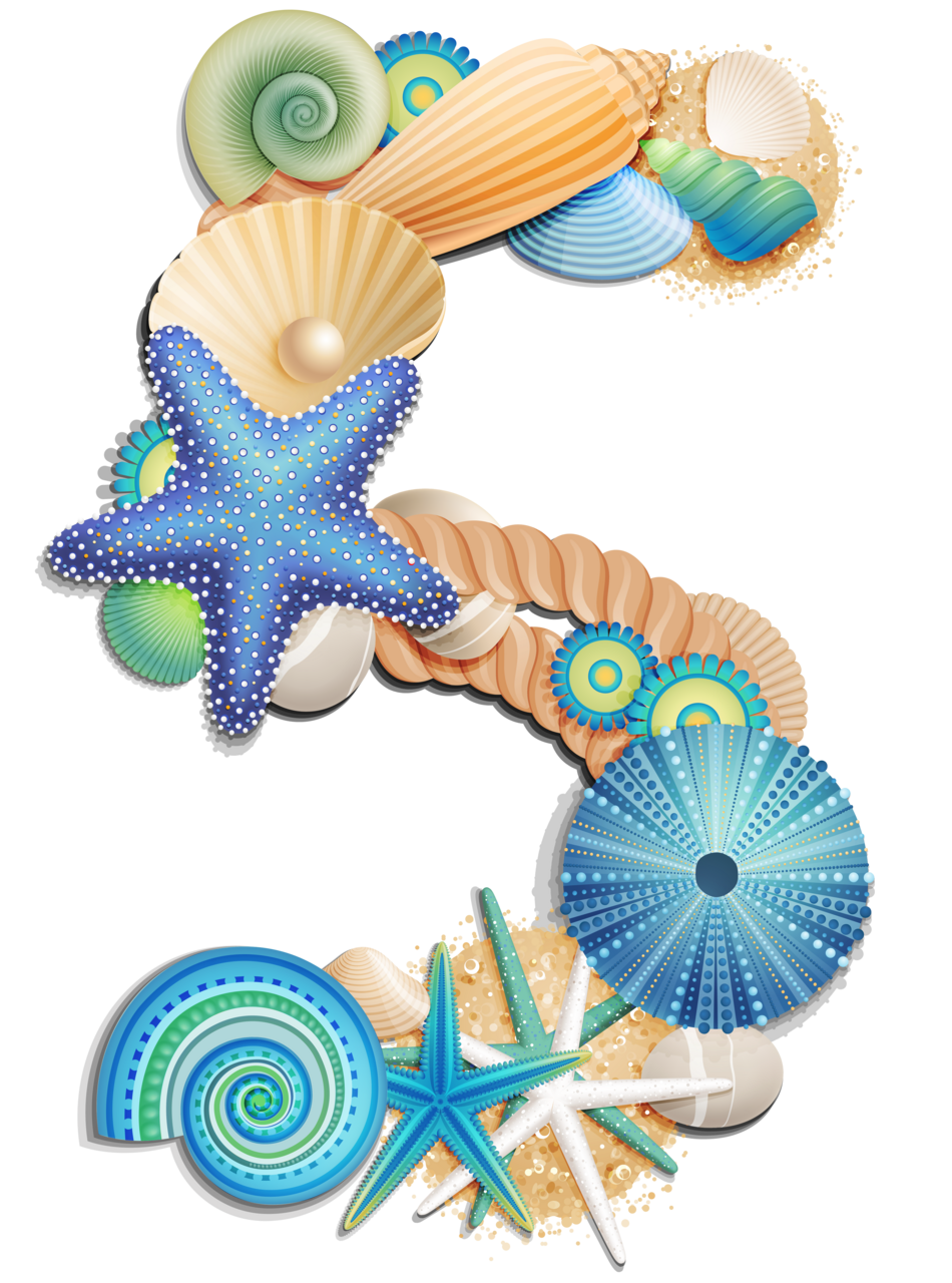 Shell number five sea style clipart picture