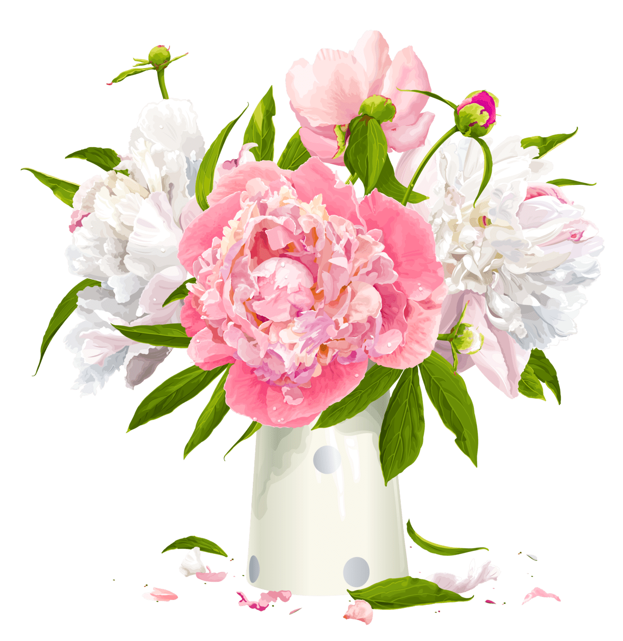 Bouquet vase with white and pink peonies clipart transparent