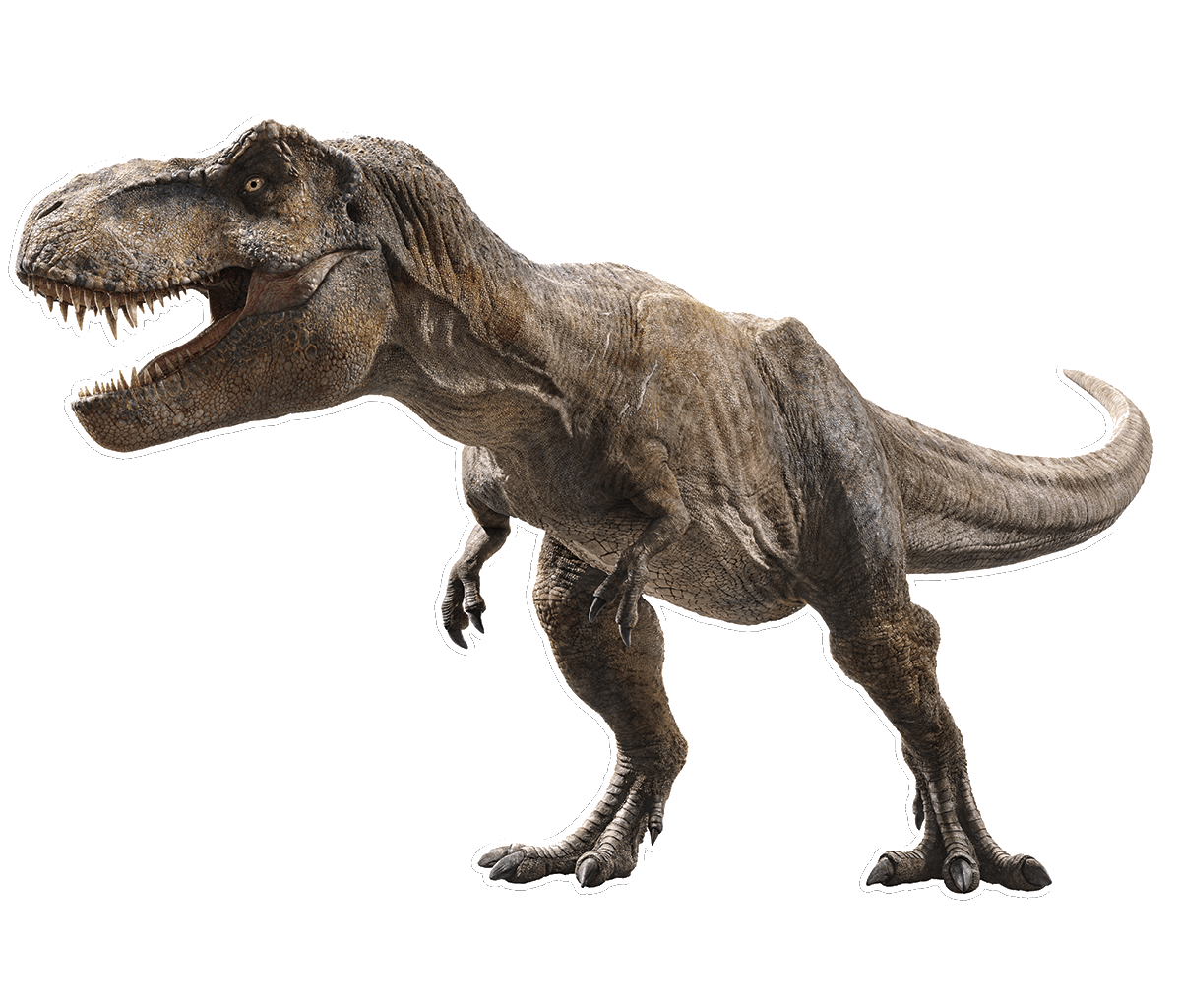 Rex jurassic world fallen kingdom tyrannosaurus by sonichedgehog deviantart clipart photo