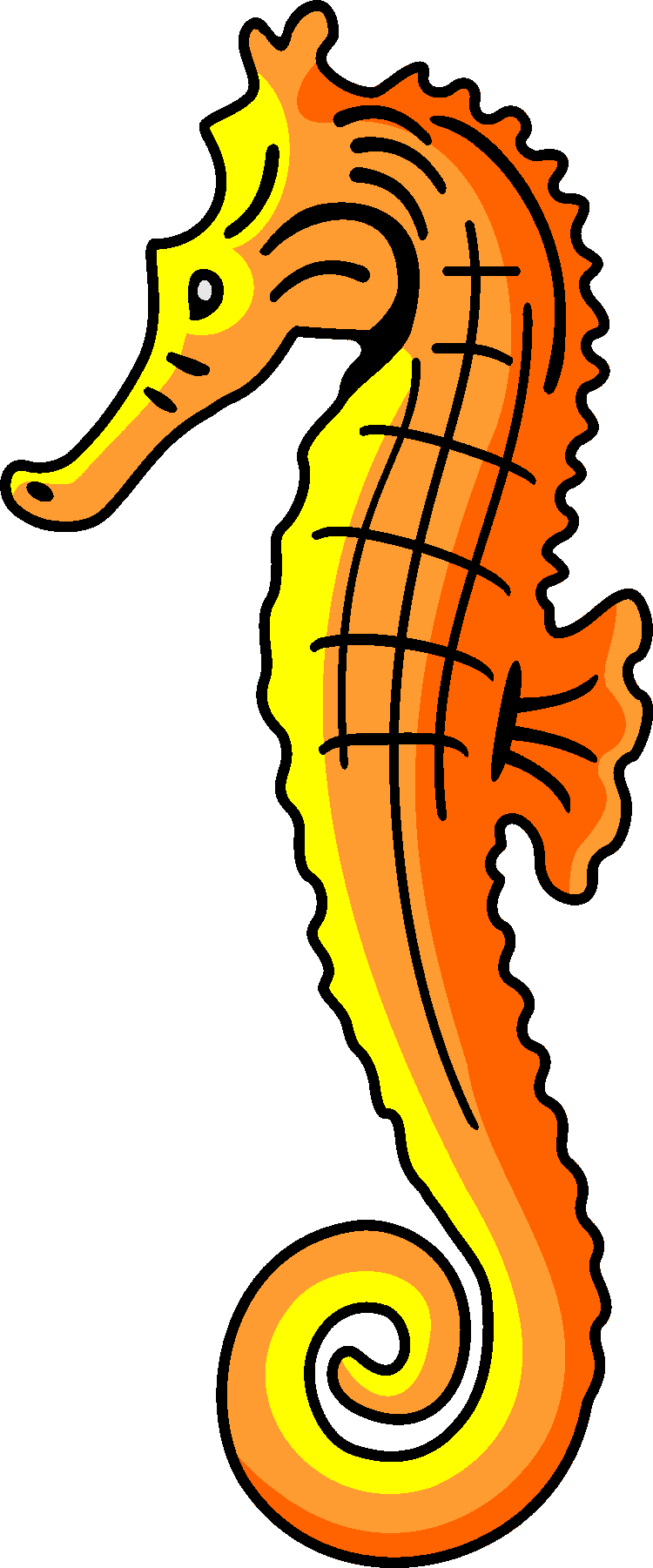 Seahorse clipart image