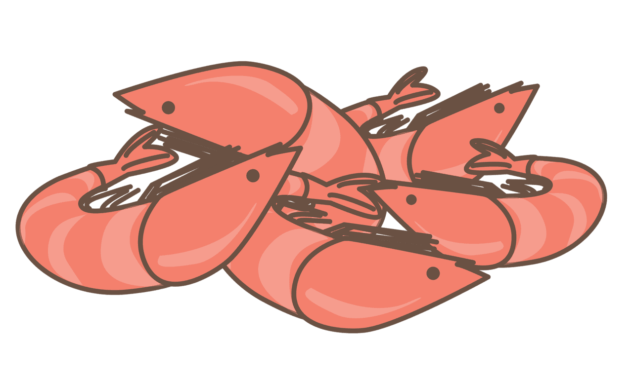 Shrimp food vector clipart images