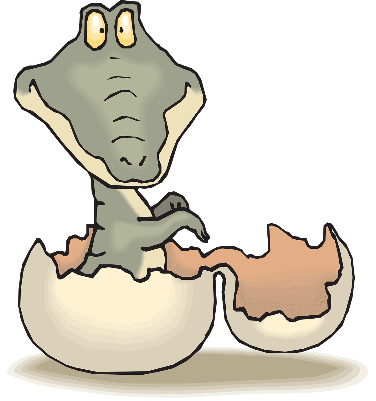 Alli gator hatch baby vector graphic clipart