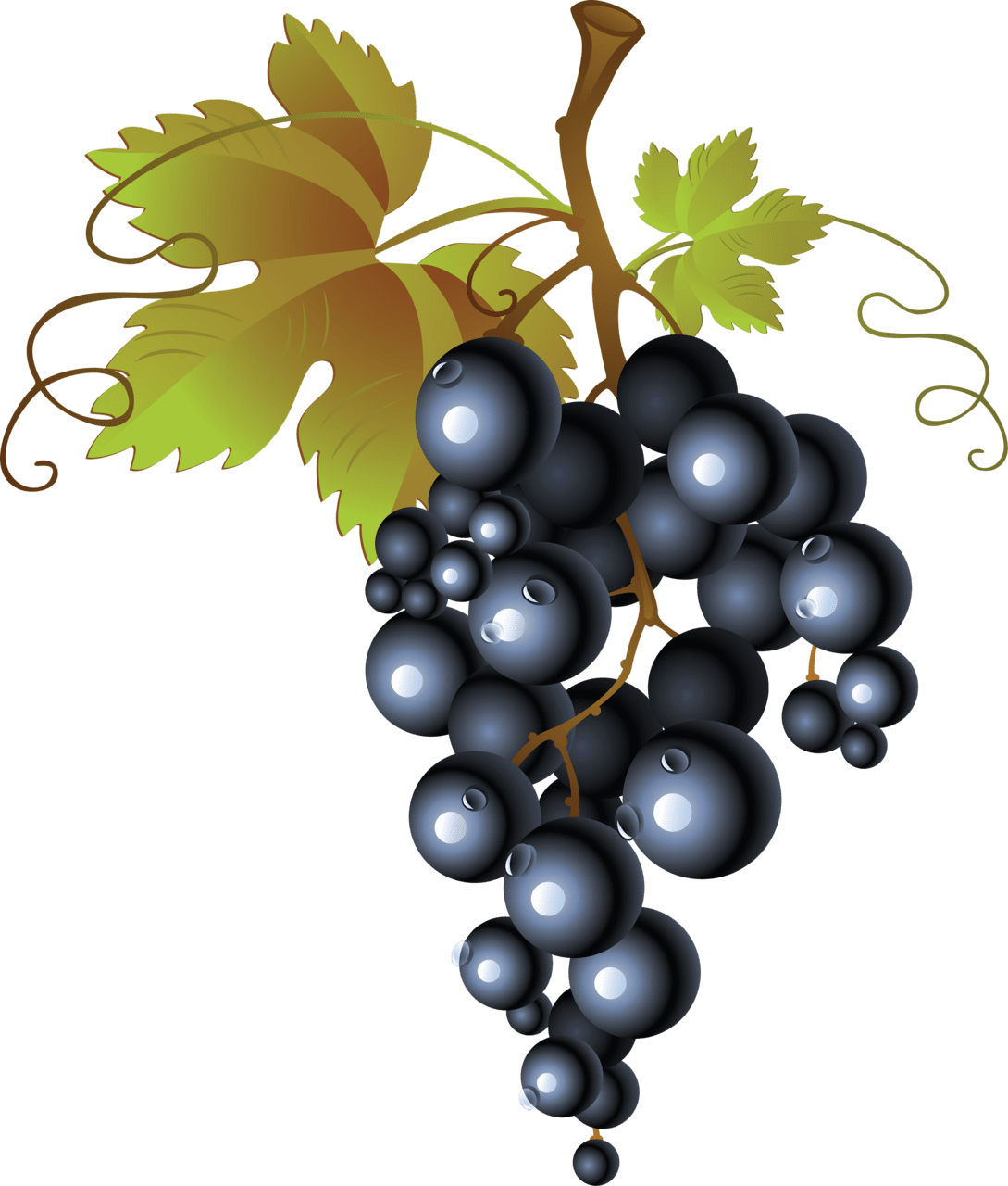 Grape image picture img clipart