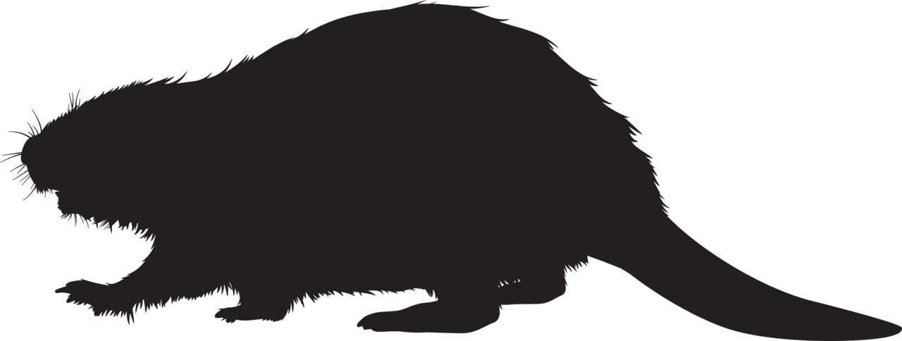 Beaver silhouette clipart imageu yopriceville