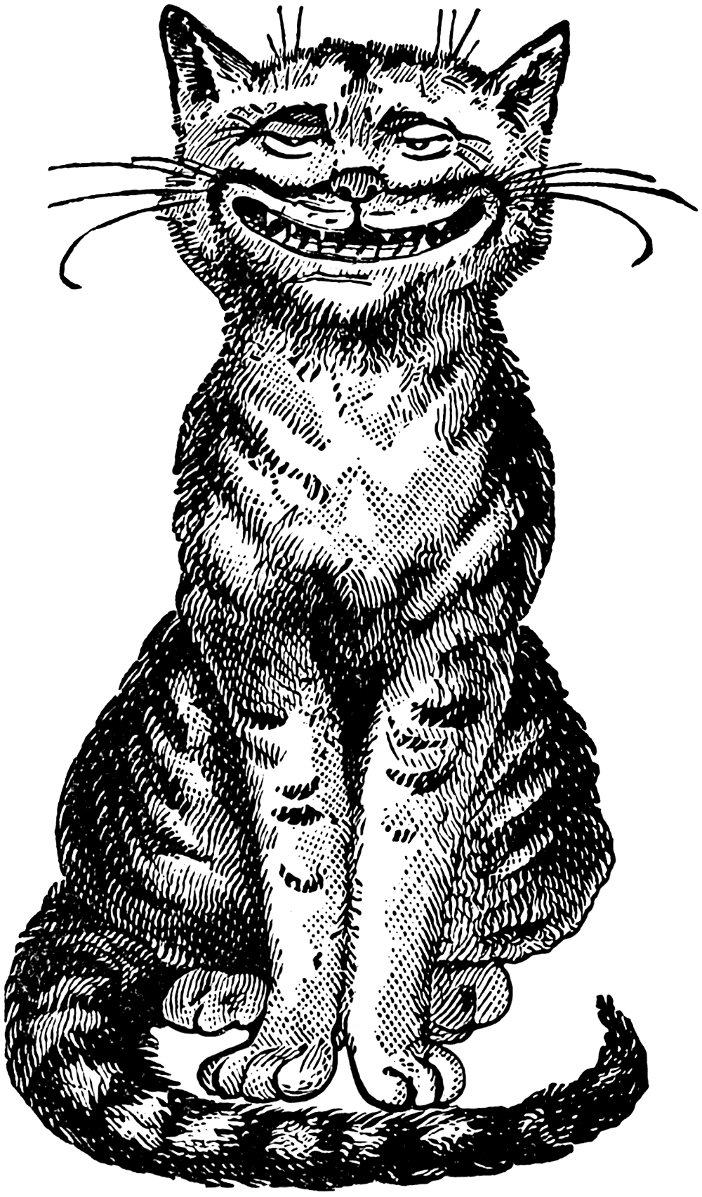 Cat black and white pin page clipart transparent 2