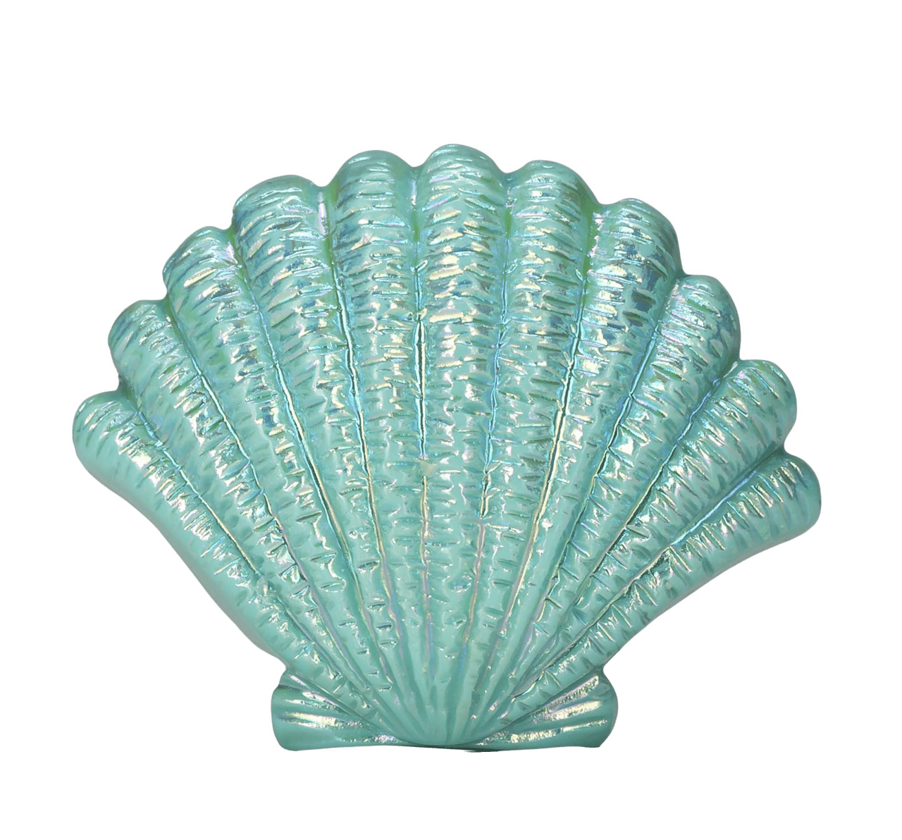 Blue sea shell clipart background