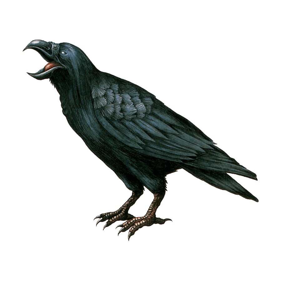 Crow images transp ent hd photo clip clipart