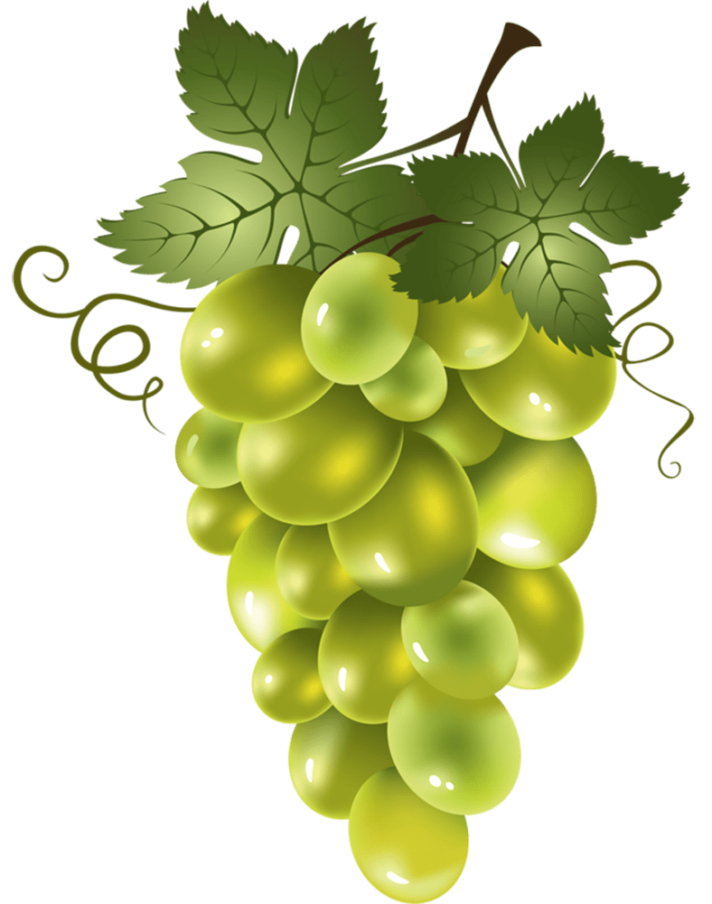 Grape page clipart background