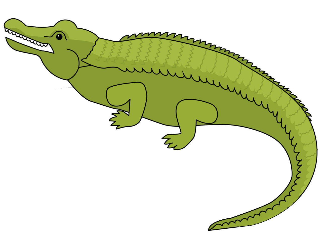 Alli gator vector clipart images 6