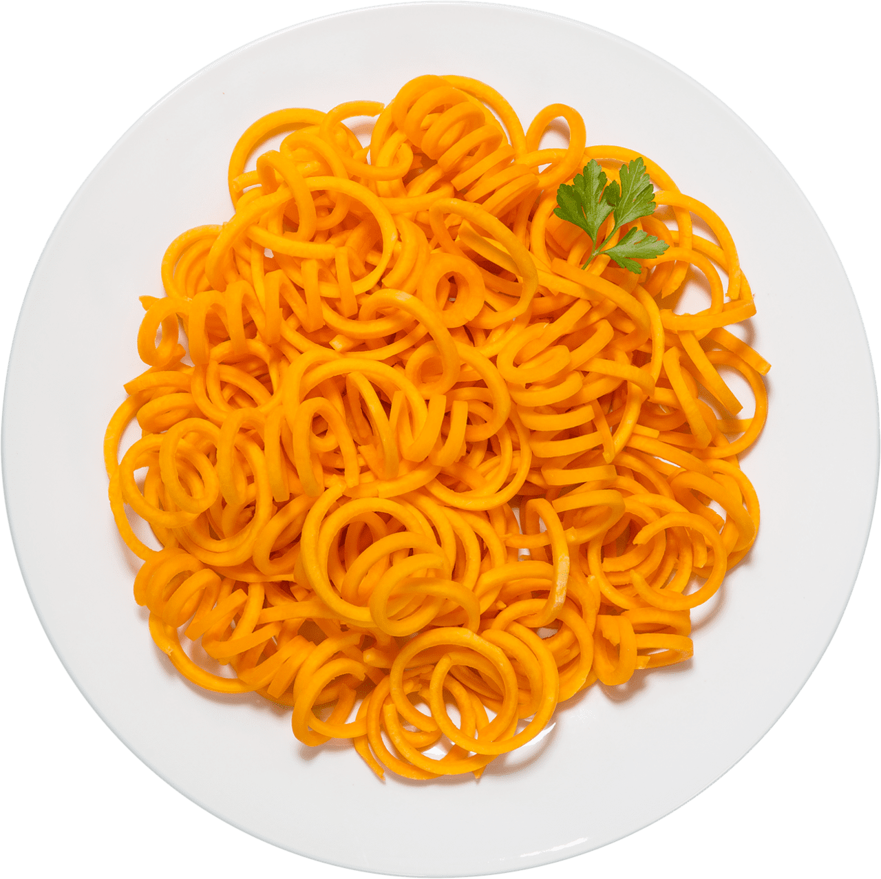 Spaghetti noodle clipart photo