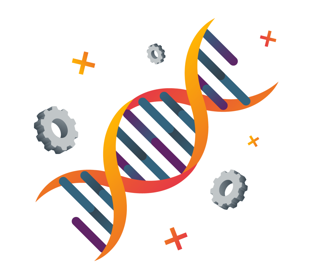 Dna introduction to disruption clipart clip art