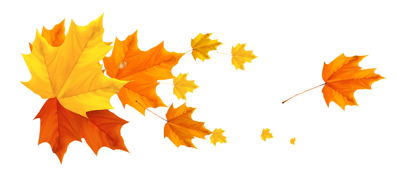 Fall pictures deco leafs clipart picture