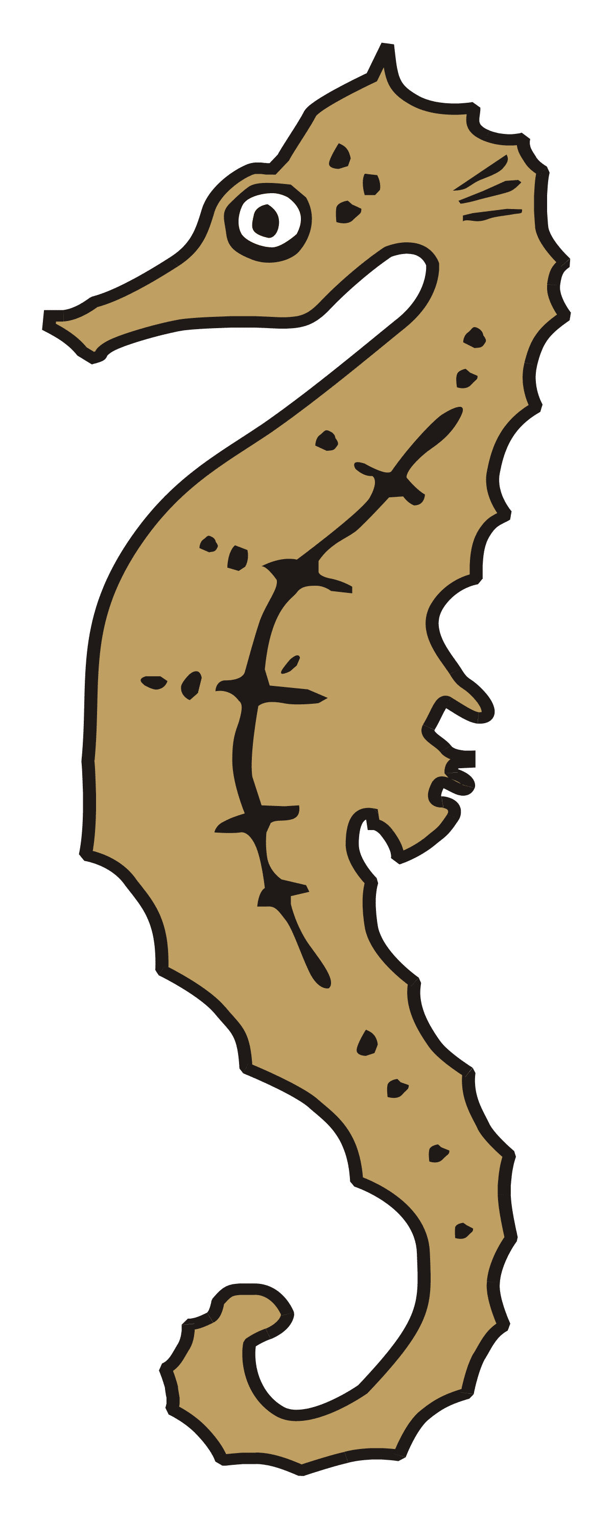Category seahorse in heraldry clipart logo