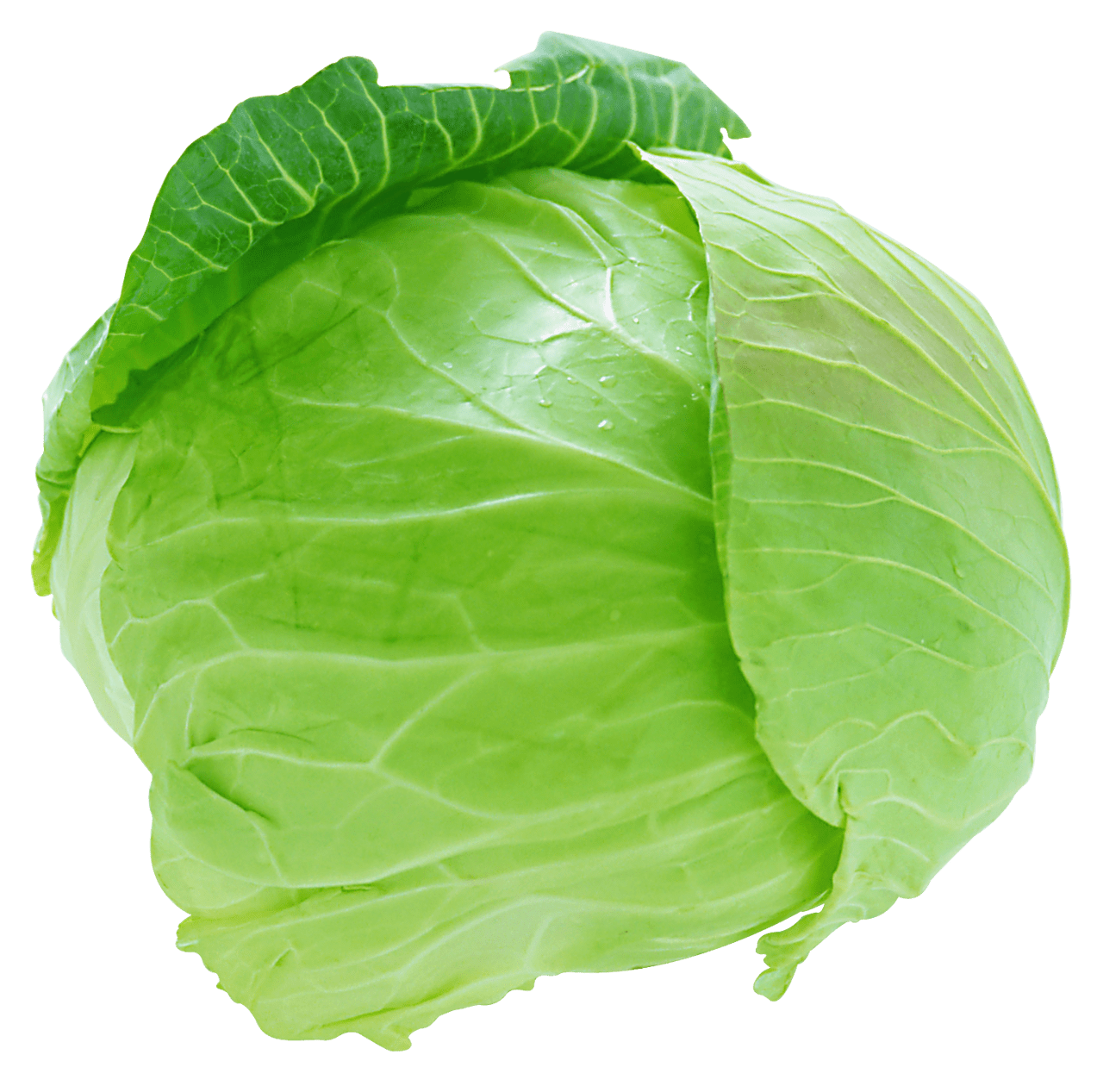 Veggie cabbage picture clipart