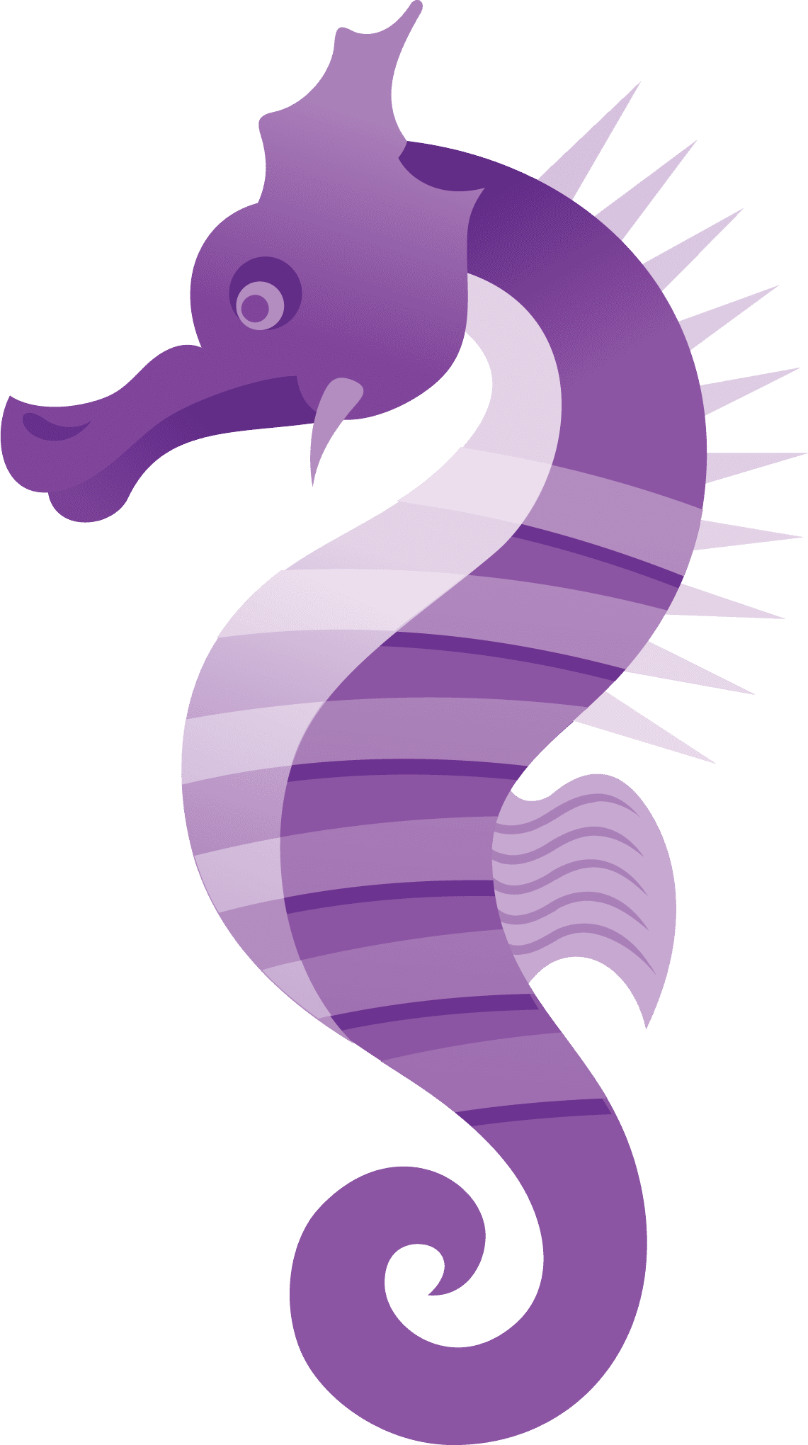 Seahorse page clipart transparent