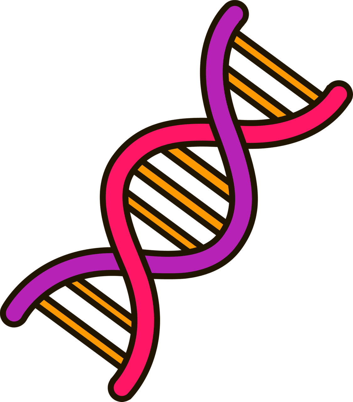 Dna vector clipart images