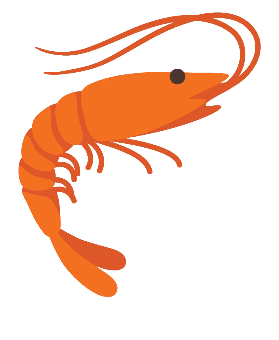 Shrimp images clipart