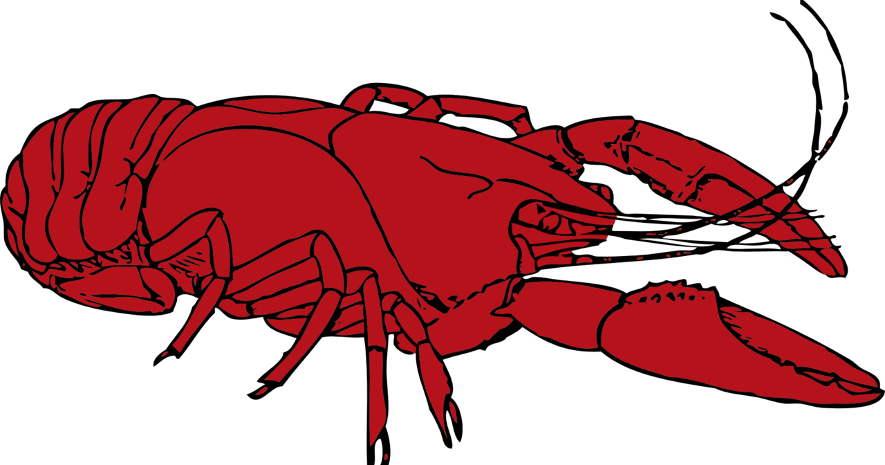 Crawfish lobster vector clipart images