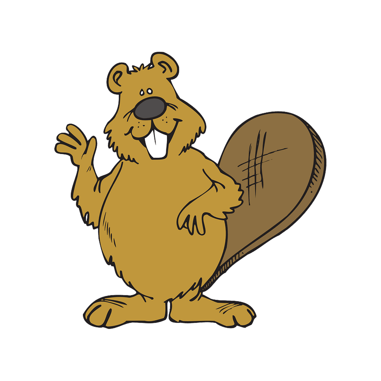 Beaver images hd photo clipart