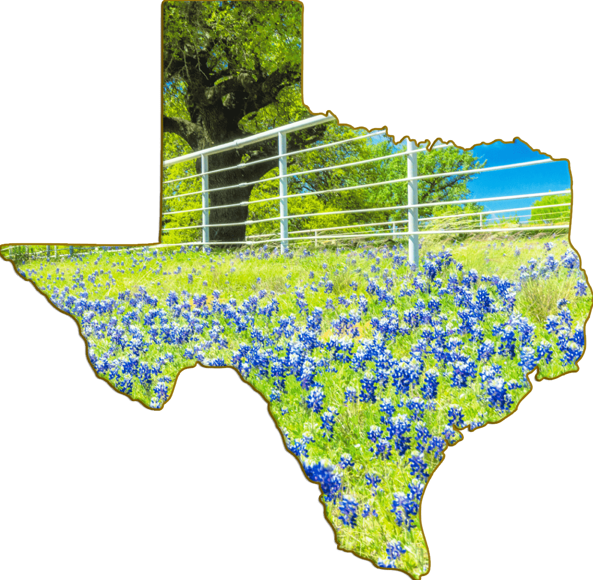 Texas roadside bluebonnet field shaped magnet clipart picture