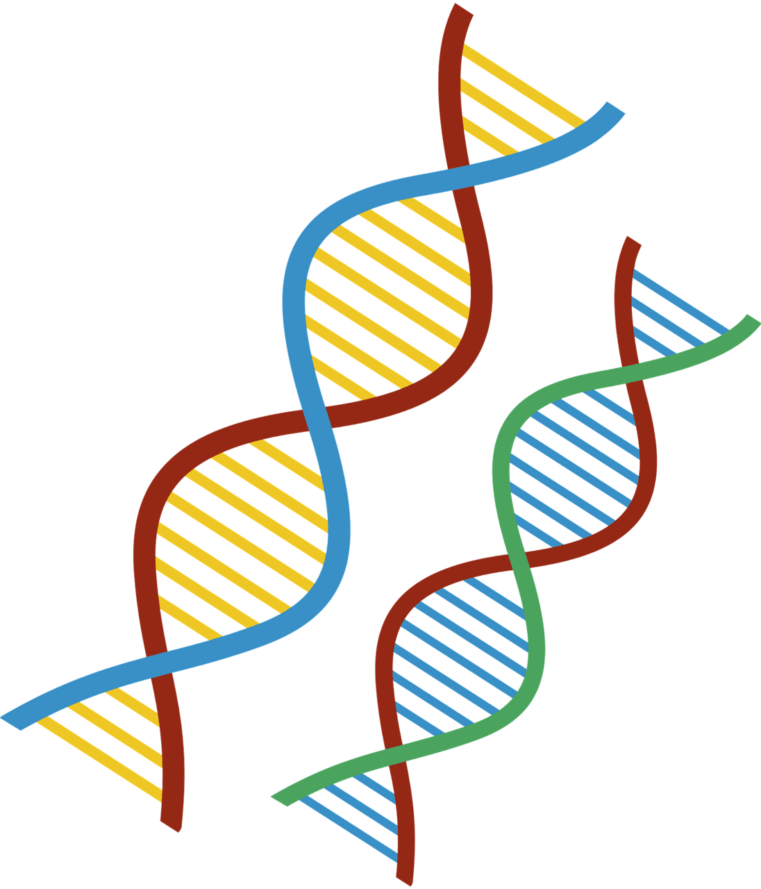 Dna vector clipart images 5