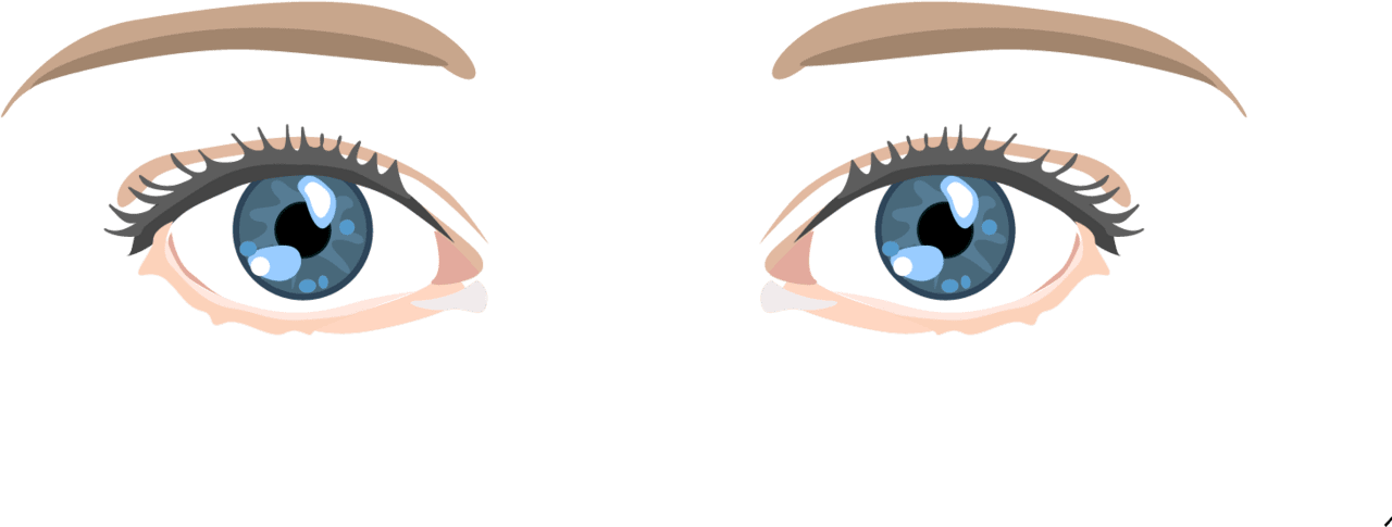 Eyelash los ojos de dibujos animados vector eyes clipart