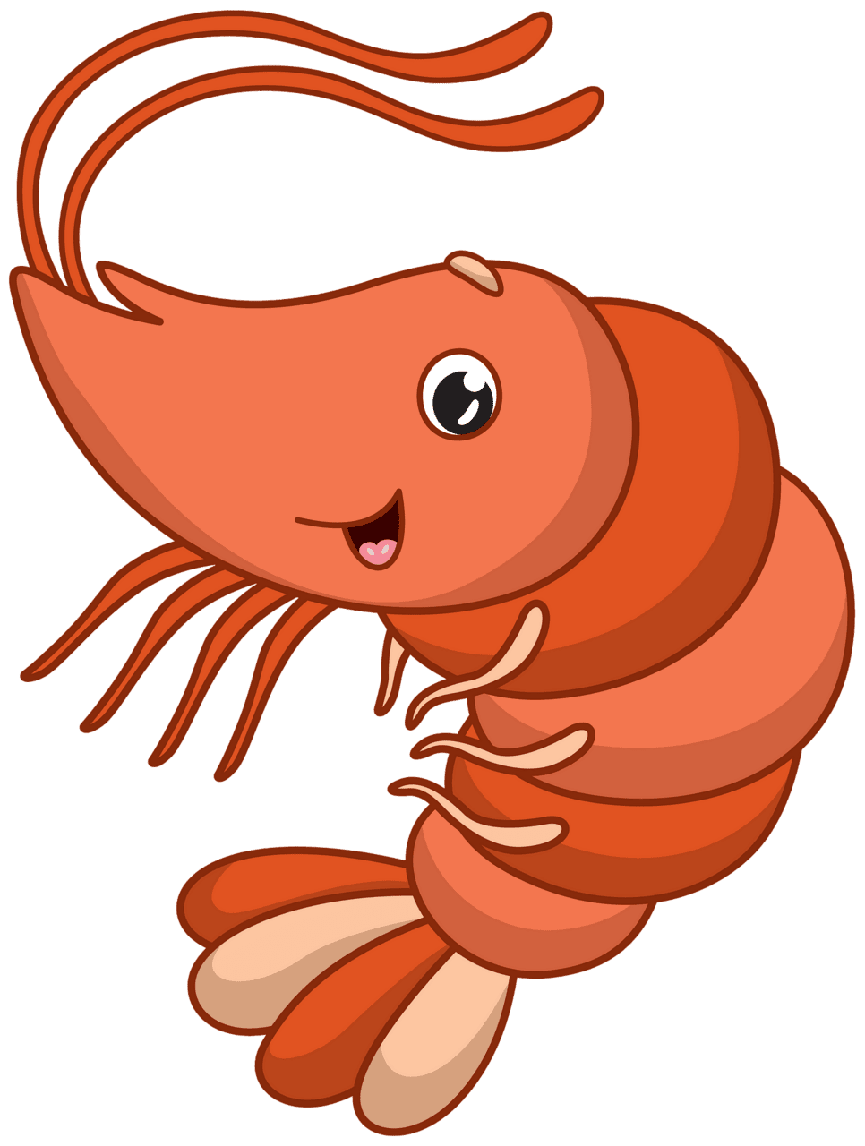 Shrimp vector clipart images