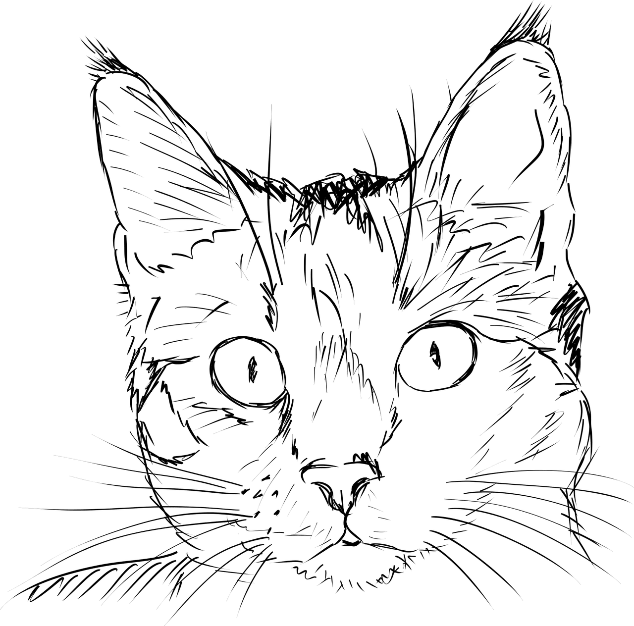 Cat black and white kitten pet vector graphic clipart